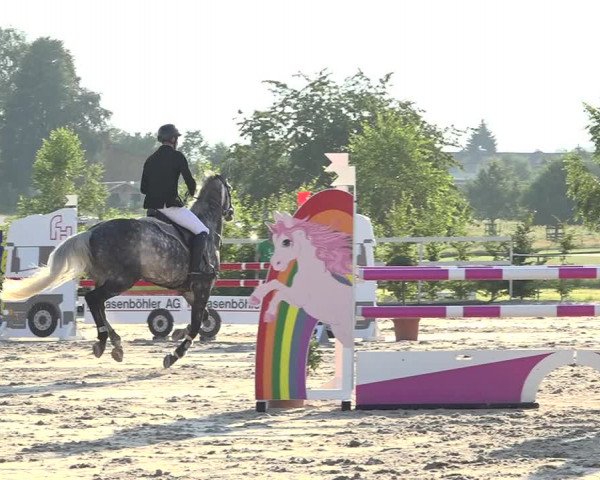 Reitturnier Möhlin 2019