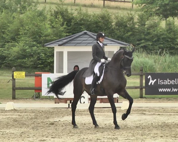 FEI Reitturnier Leudelange (LUX) 2019