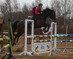 jumper Zherline (Holsteiner, 2007, from Cristo)