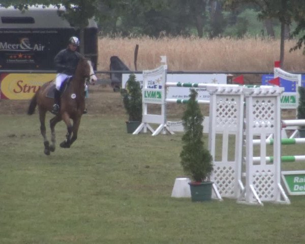 Reitturnier Delbrück-Ostenland 2019
