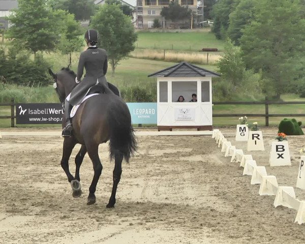 FEI Reitturnier Leudelange (LUX) 2019