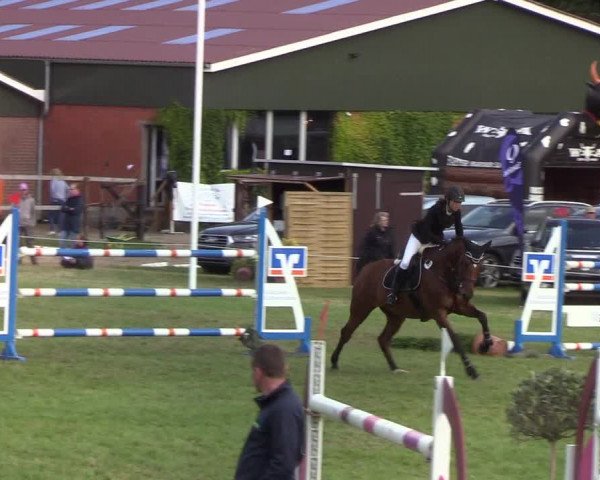Reitturnier Hanerau-Hademarschen 2019