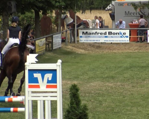 Reitturnier Delbrück-Ostenland 2019