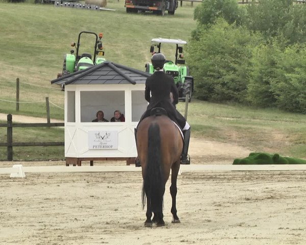 FEI Reitturnier Leudelange (LUX) 2019