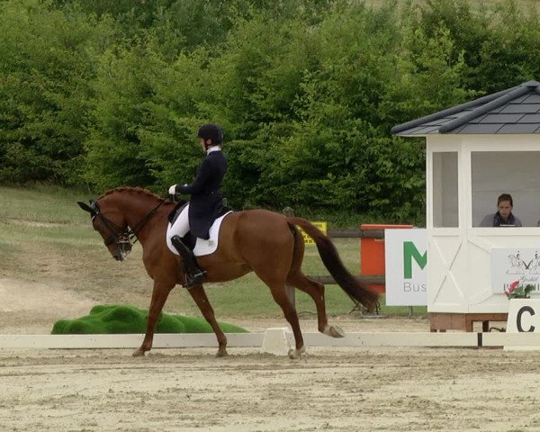 FEI Reitturnier Leudelange (LUX) 2019