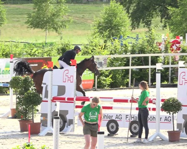 Reitturnier Möhlin 2019