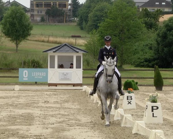 FEI Reitturnier Leudelange (LUX) 2019