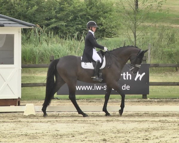 FEI Reitturnier Leudelange (LUX) 2019