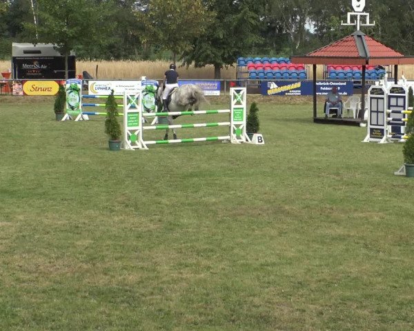 Reitturnier Delbrück-Ostenland 2019