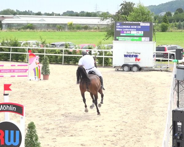 Reitturnier Möhlin 2019
