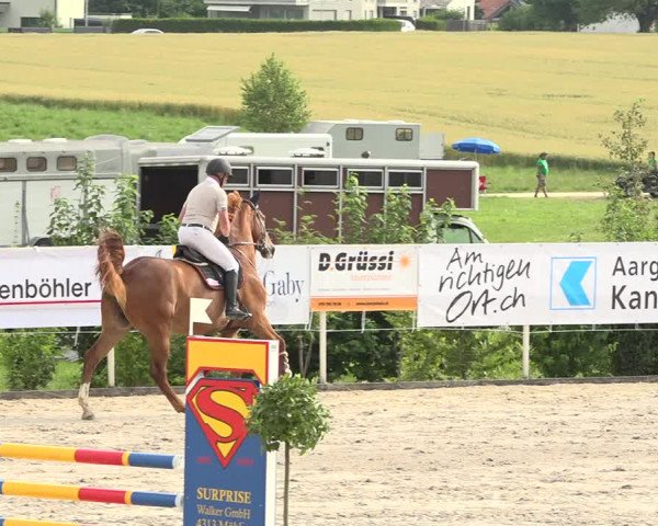 Reitturnier Möhlin 2019
