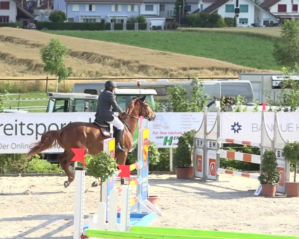Reitturnier Möhlin 2019