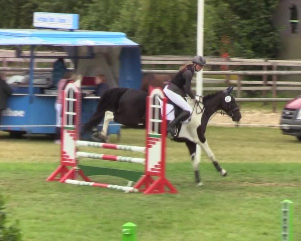 Reitturnier Hanerau-Hademarschen 2019