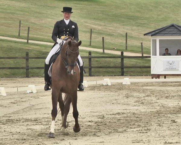 FEI Reitturnier Leudelange (LUX) 2019