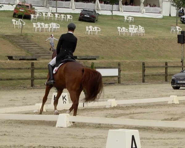 FEI Reitturnier Leudelange (LUX) 2019