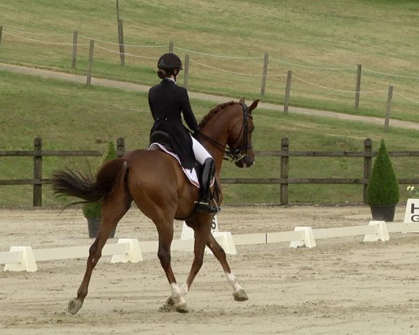 FEI Reitturnier Leudelange (LUX) 2019