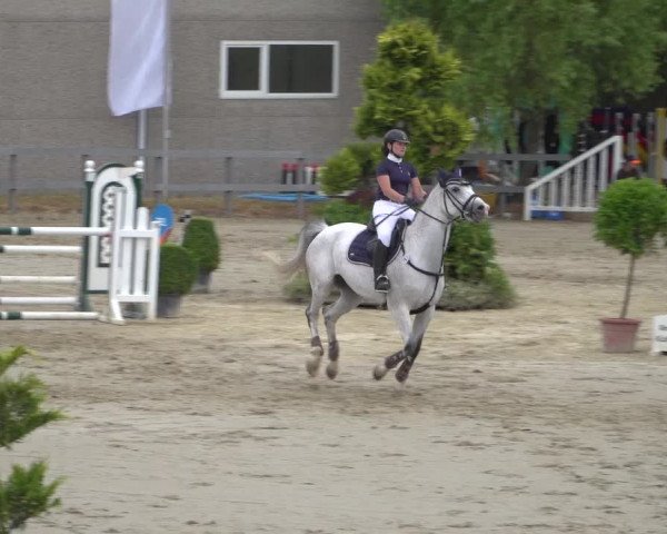 Reitturnier Kalenborn Hegehof 2019