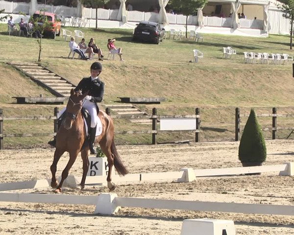 FEI Reitturnier Leudelange (LUX) 2019
