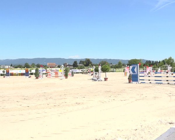 Reitturnier Möhlin 2019