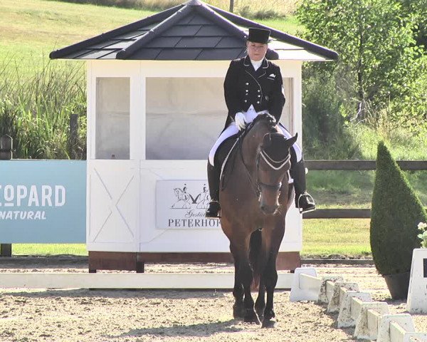 FEI Reitturnier Leudelange (LUX) 2019