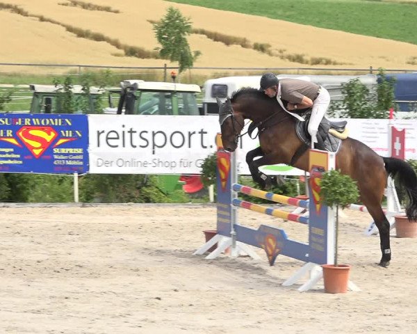 Reitturnier Möhlin 2019