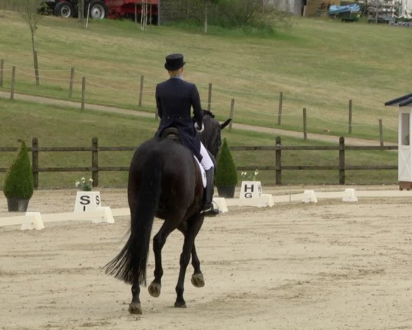 FEI Reitturnier Leudelange (LUX) 2019