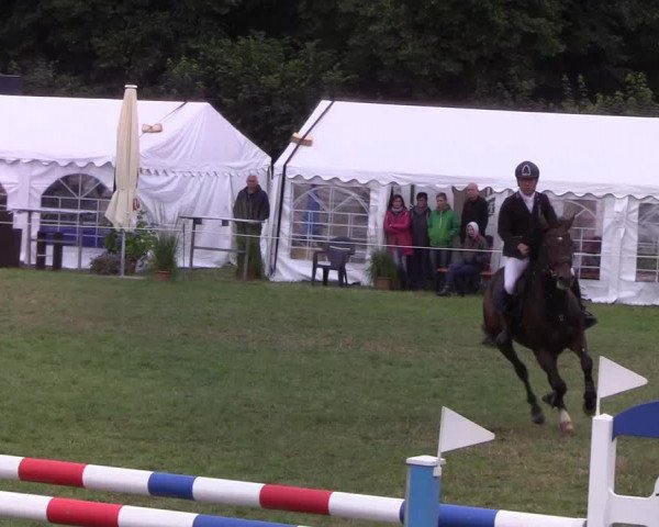 Reitturnier Hanerau-Hademarschen 2019