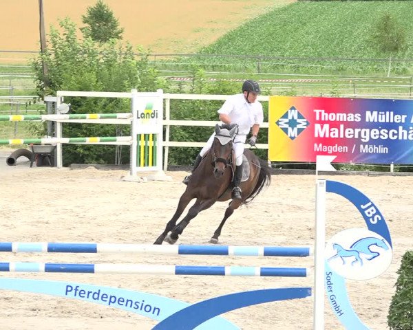 Reitturnier Möhlin 2019