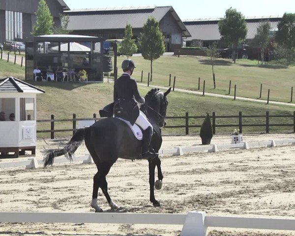 FEI Reitturnier Leudelange (LUX) 2019