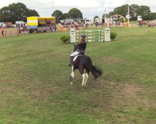 Reitturnier Hanerau-Hademarschen 2019