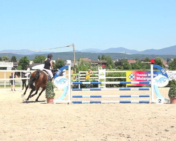 Reitturnier Möhlin 2019