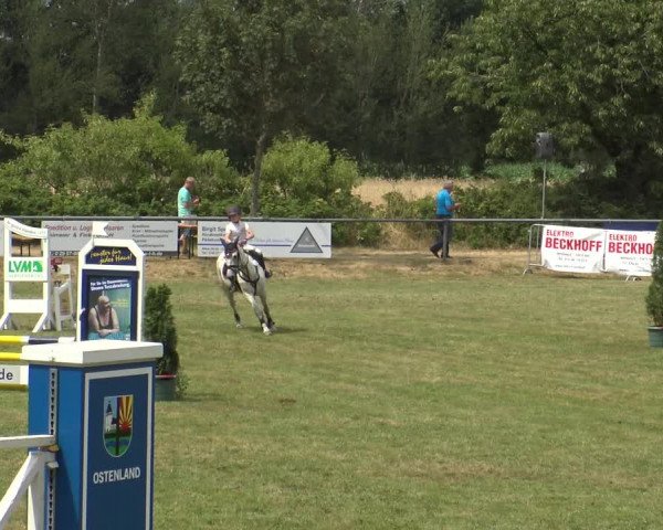 Reitturnier Delbrück-Ostenland 2019