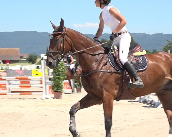 Reitturnier Möhlin 2019