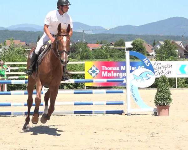 Reitturnier Möhlin 2019