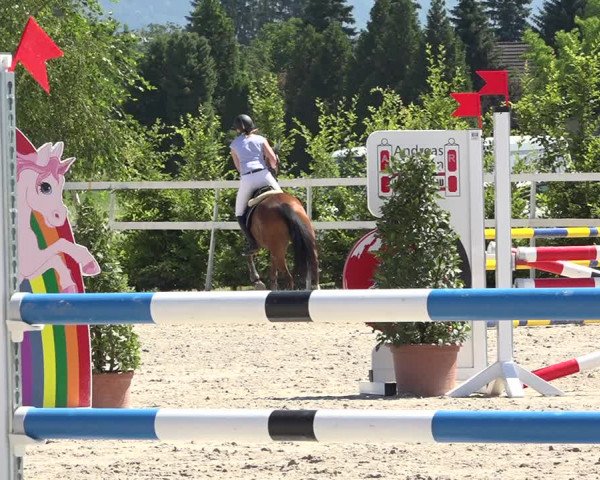 Reitturnier Möhlin 2019