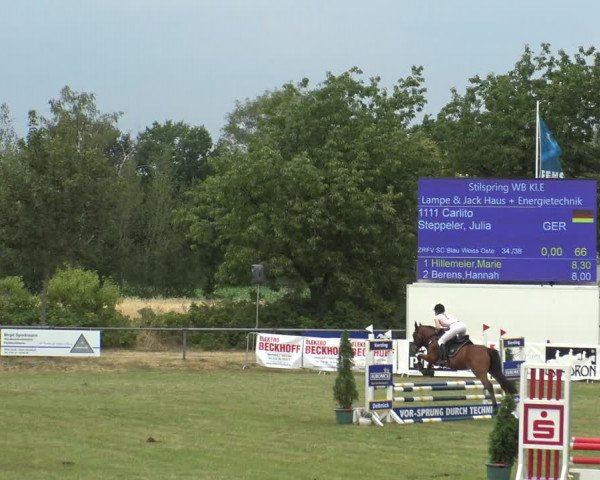Reitturnier Delbrück-Ostenland 2019