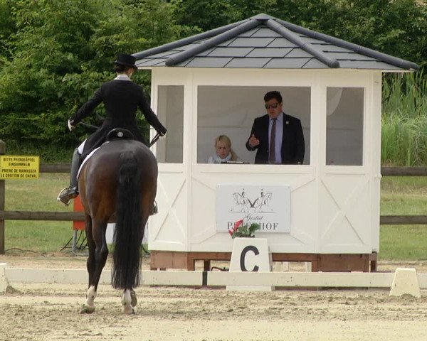 FEI Reitturnier Leudelange (LUX) 2019