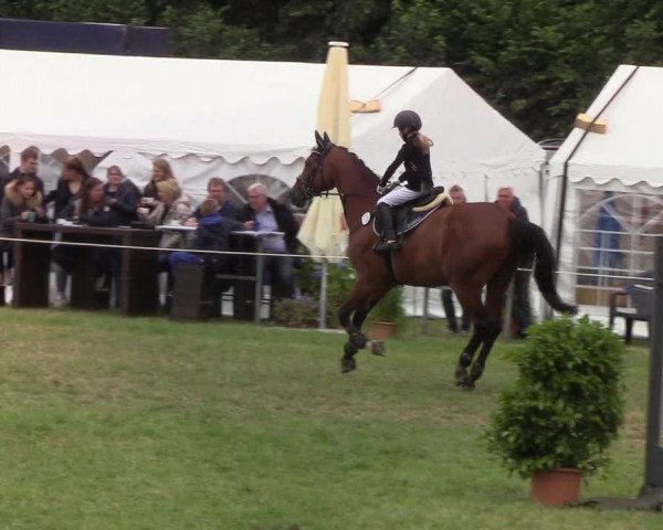 Reitturnier Hanerau-Hademarschen 2019