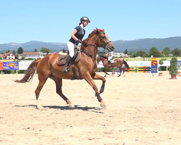 Reitturnier Möhlin 2019