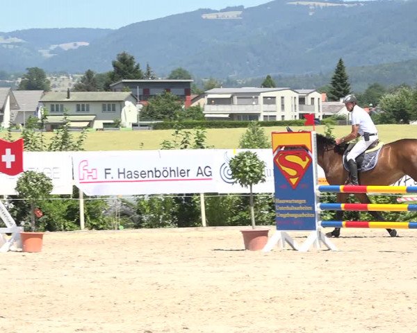 Reitturnier Möhlin 2019