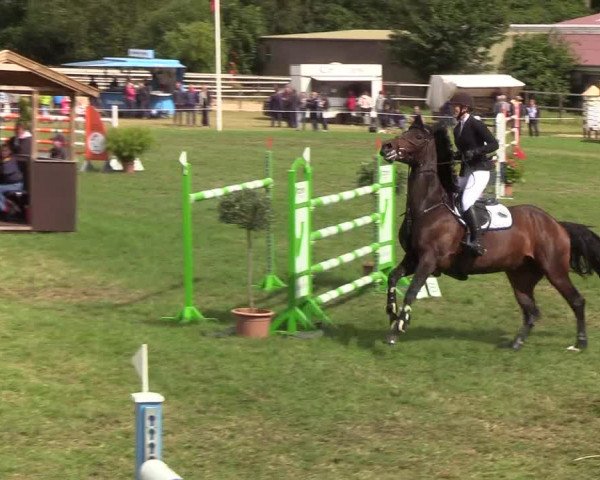 Reitturnier Hanerau-Hademarschen 2019