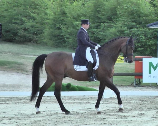 FEI Reitturnier Leudelange (LUX) 2019