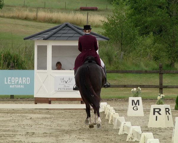 FEI Reitturnier Leudelange (LUX) 2019