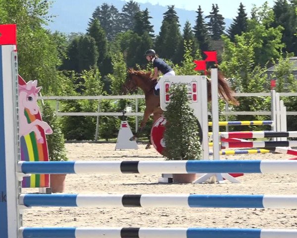 Reitturnier Möhlin 2019