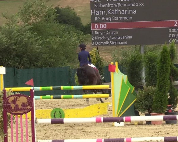 Reitturnier Lindlar-Süttenbach 2019