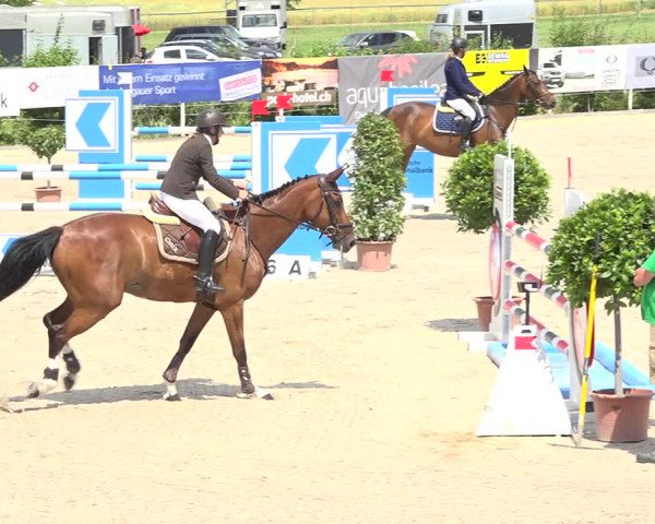 Reitturnier Möhlin 2019