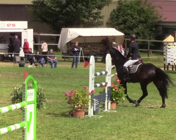 Reitturnier Hanerau-Hademarschen 2019