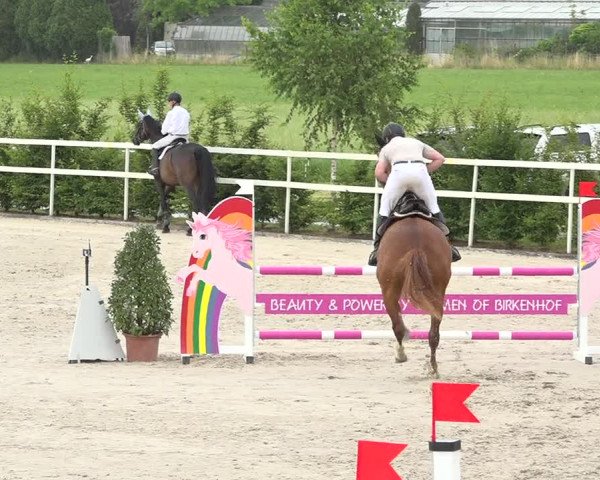 Reitturnier Möhlin 2019