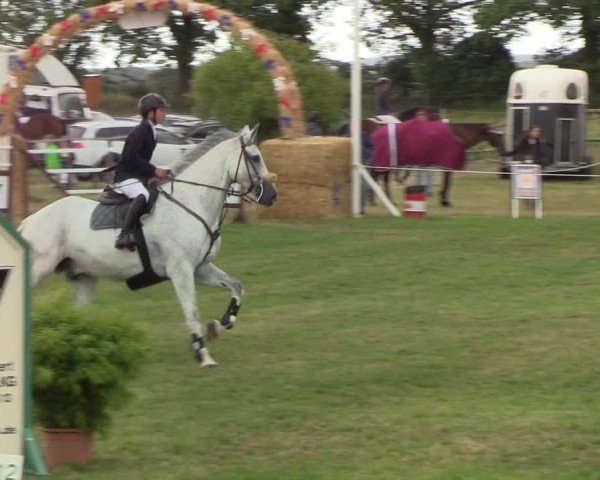 Reitturnier Hanerau-Hademarschen 2019