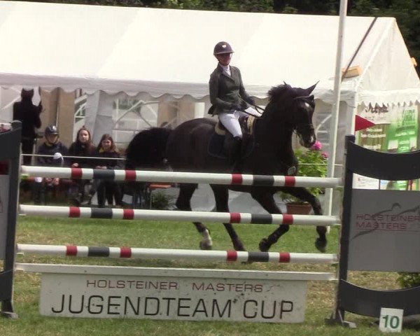 Reitturnier Hanerau-Hademarschen 2019
